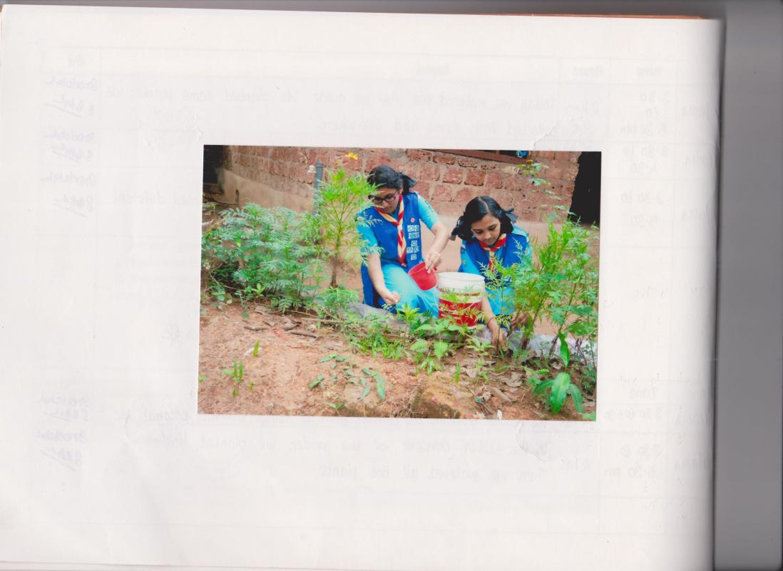 GARDENING