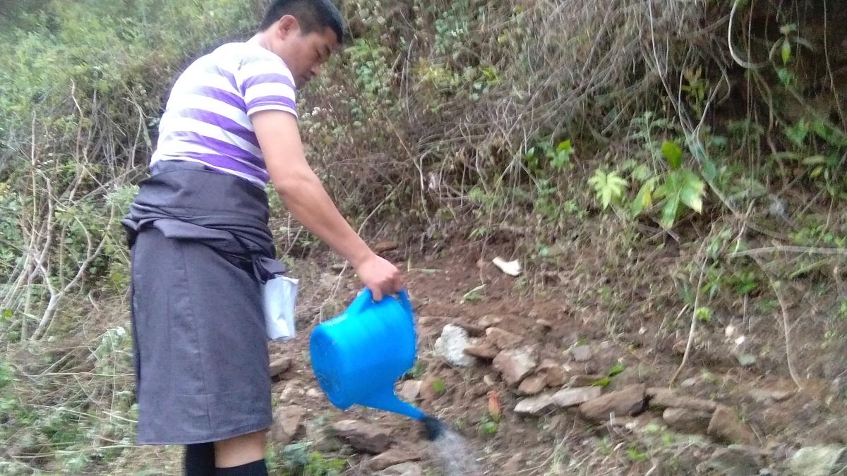 Community Greening Activity