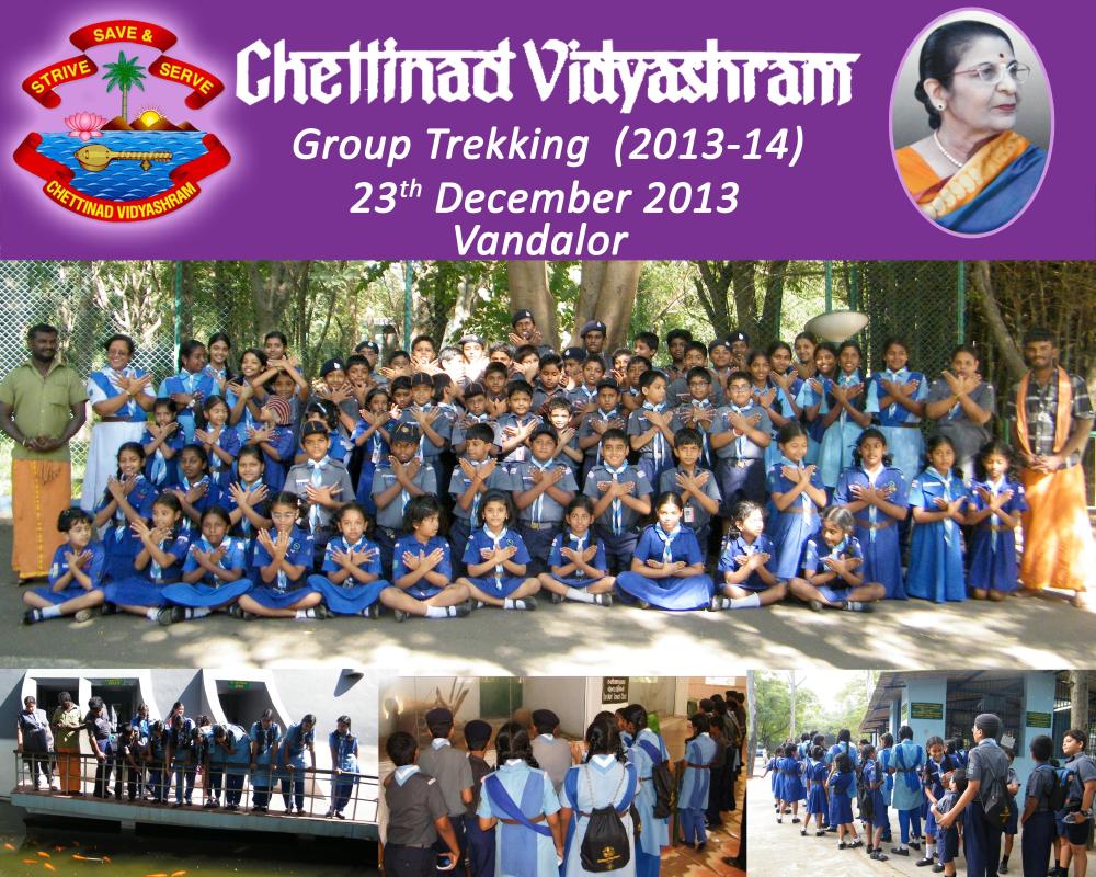 Group Hike with Birds and Animals Study