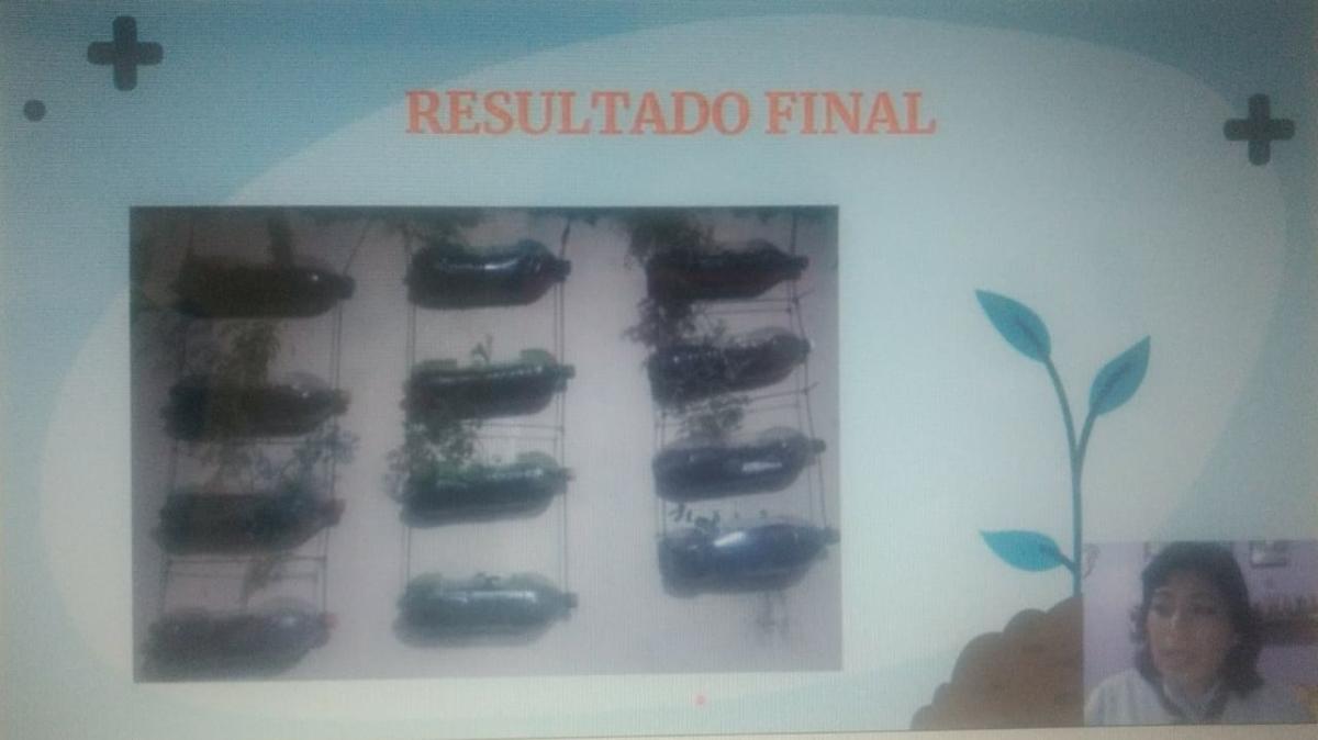 Proyecto comunitario "Huertos hidroponicos y terrarios" Paul Loewe 