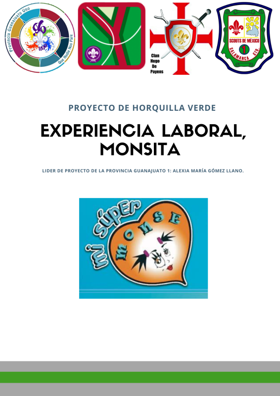 Experiencia Laboral Monsita.