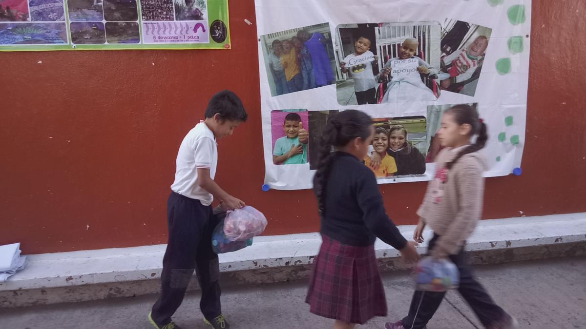 TAPITAS POR TRATAMIENTO