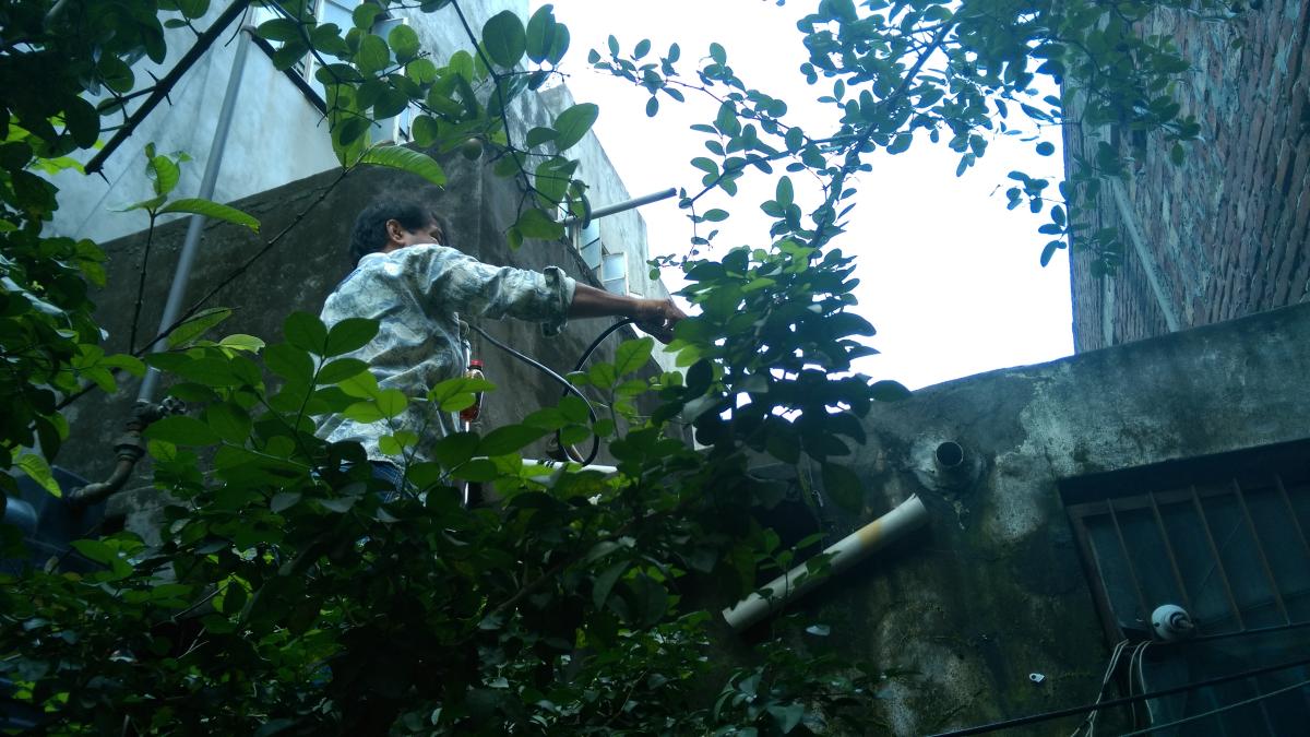 Introduction to Messengers of Peace