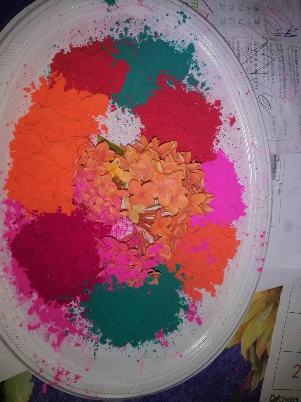 Festival of Colors...Spreading Peace in a Multicultural Society 