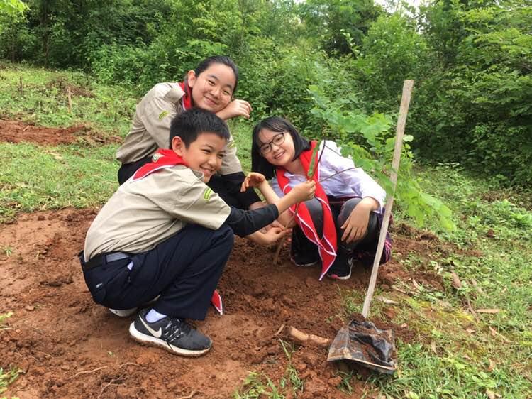 GrowMoreTrees, KeepTaunggyiClean