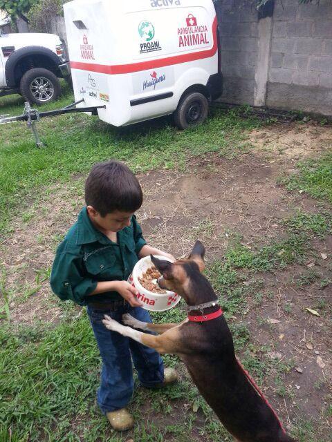 Ayudando en el hogar de animales abandonados de San Pedro Sula 