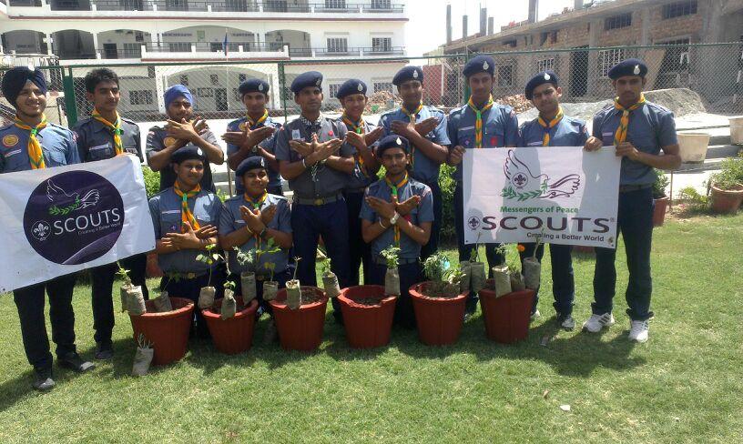 Tree Plantation Program