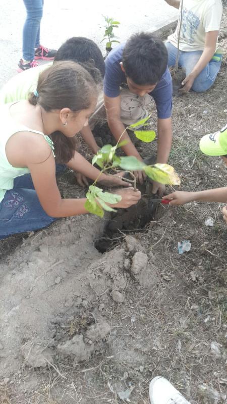 Día del árbol - Árboles para el Mundo
