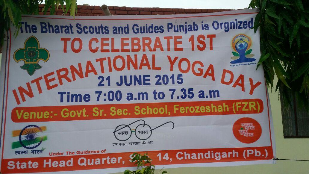 To celebrate 1st International Yoga day