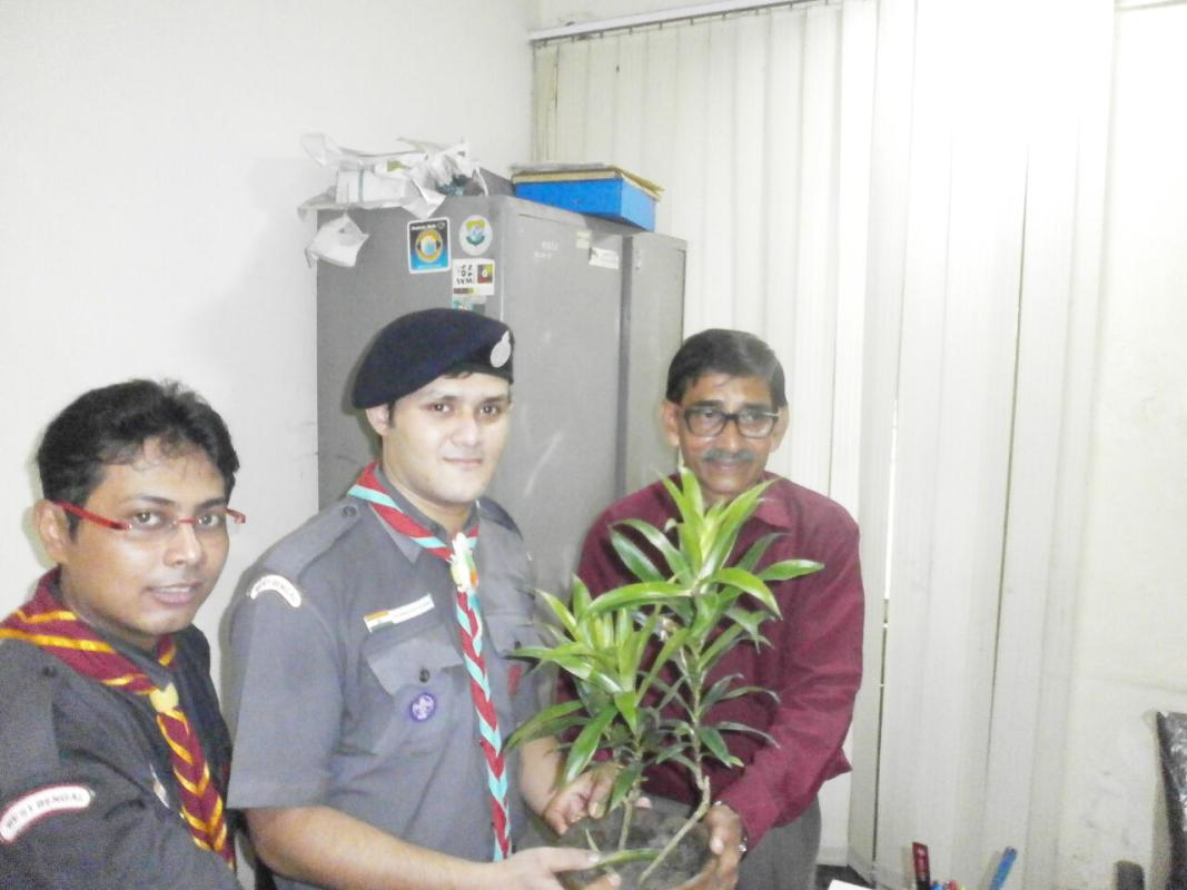 FREE SAPLING DISTRIBUTION 2015