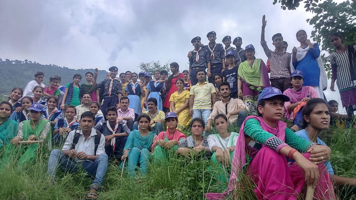 tree plantation