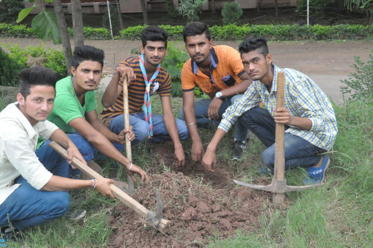 Tree plantation