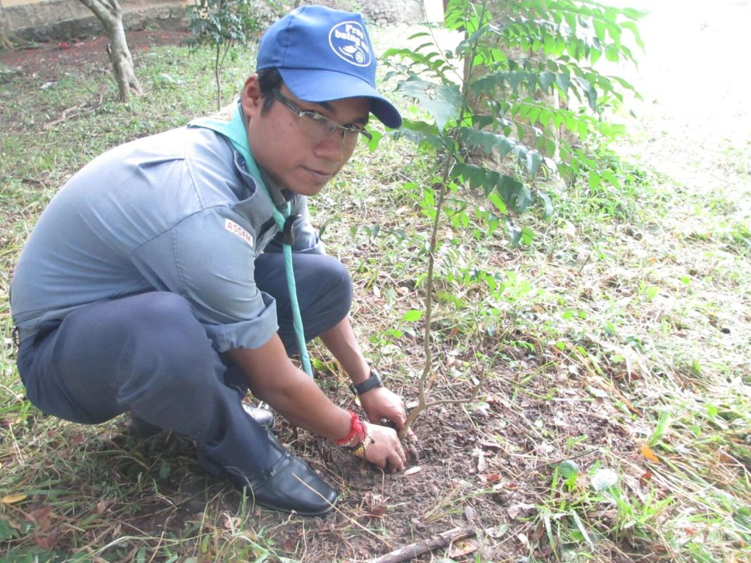 Tree Plantation camp 