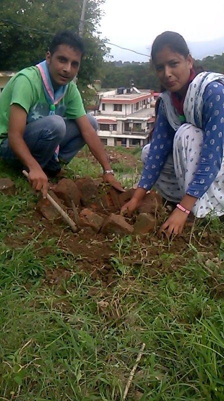 tree plantation
