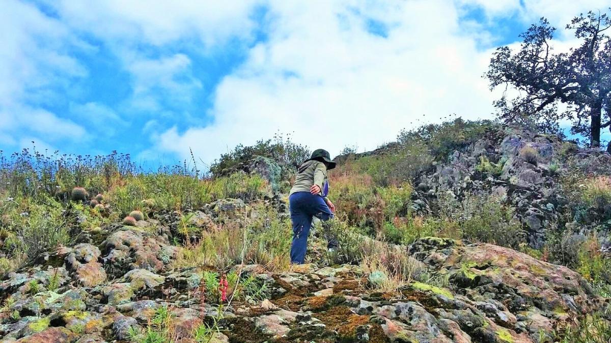 Salvemos juntos al Phryno y a la Lampro de Jilotepec Edo.Mex.