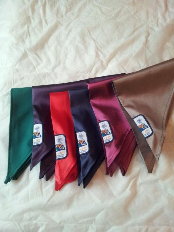 Bharat Scouts and Guides, Kingdom of Saudi Arabia - Camporee 2015