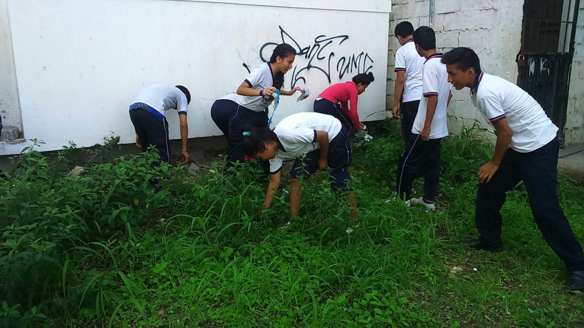 Limpieza y Recreación 