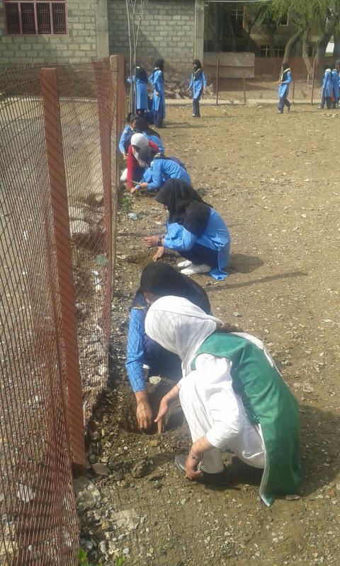 Tree Plantion Day Conducted