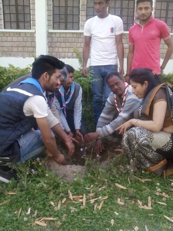 Tree Plantation on Sparrow Day