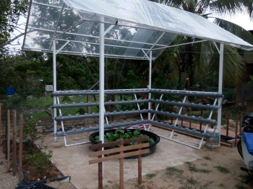 CHECKING SHELTER AND PLANTS MONITORING PROGRESS ( SWA UPDATE 10)