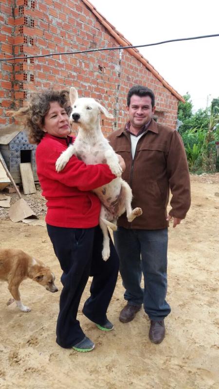 BUSCANDO HOGAR PARA PERLA