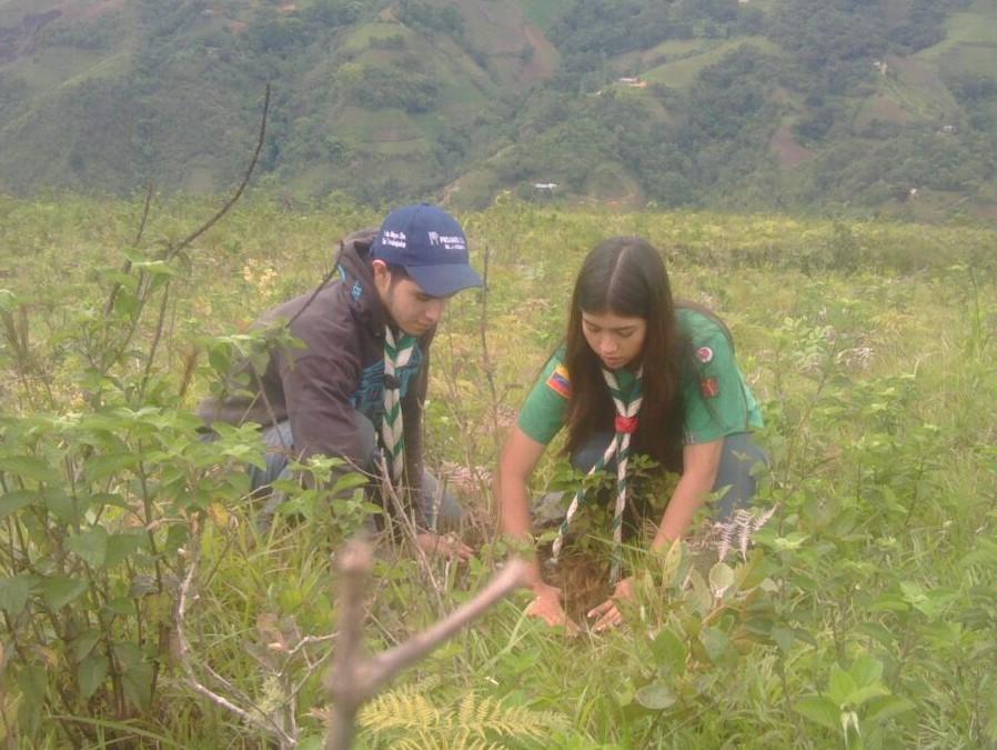 Reforestación del Cerro San Pablo