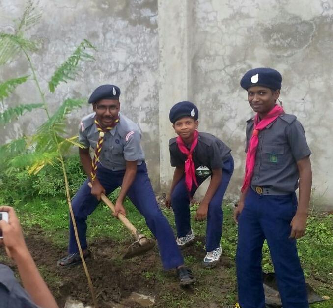 Tree planting