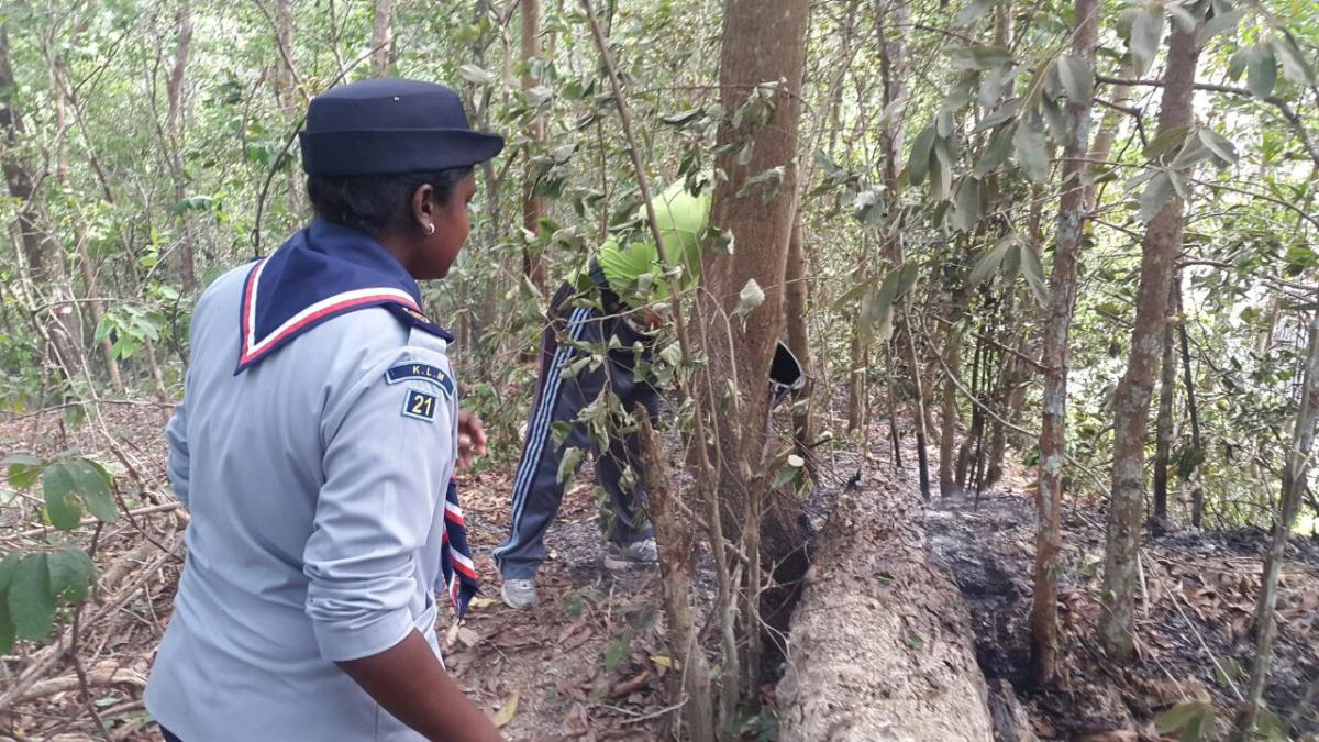 MINGGU 7( KAWAD DAN MEMBUAT RUMAH SEMENTARA)