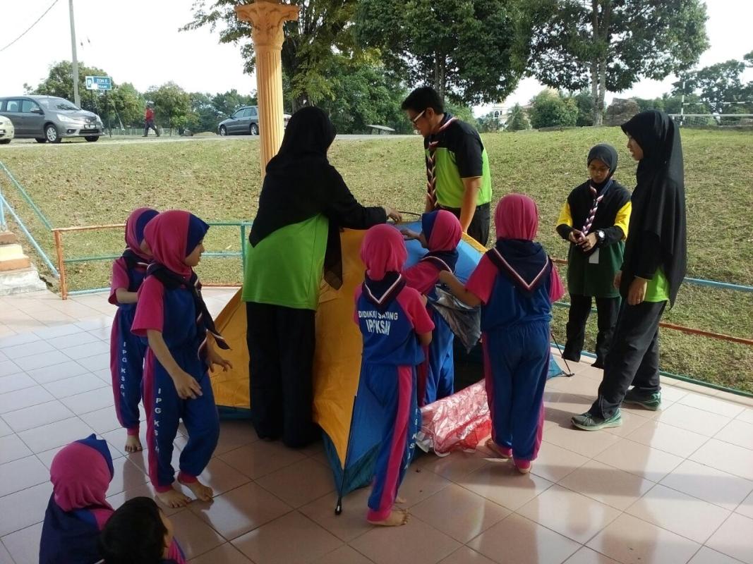 Teaching Bee Scout