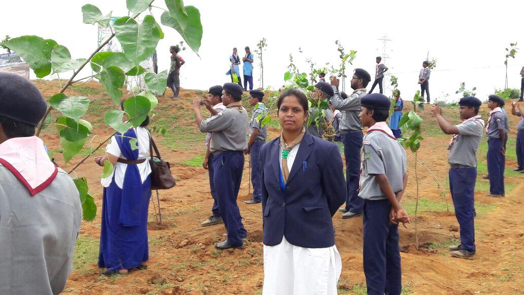 Plantation