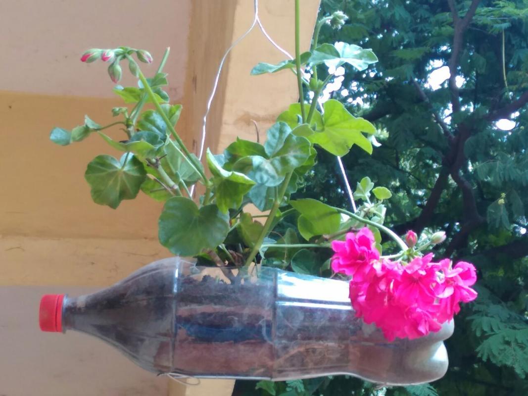 Bottle gardening at SHQ, Karnataka.