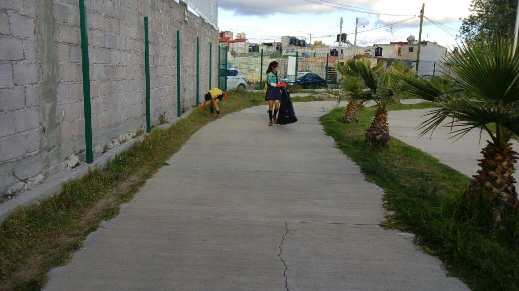 Limpiando mi colonia