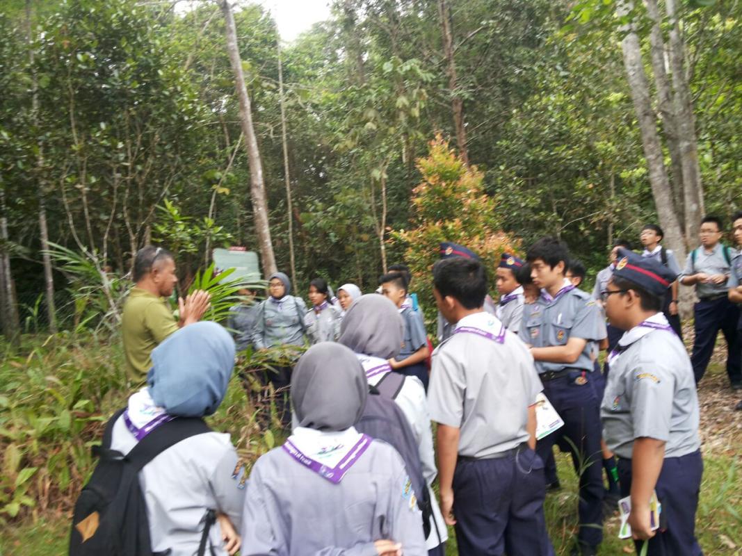 MOP/WSEP 2016