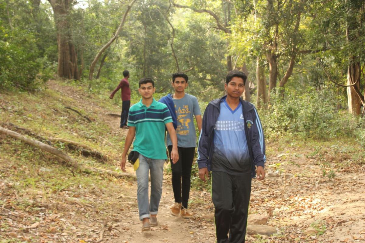 Study with nature