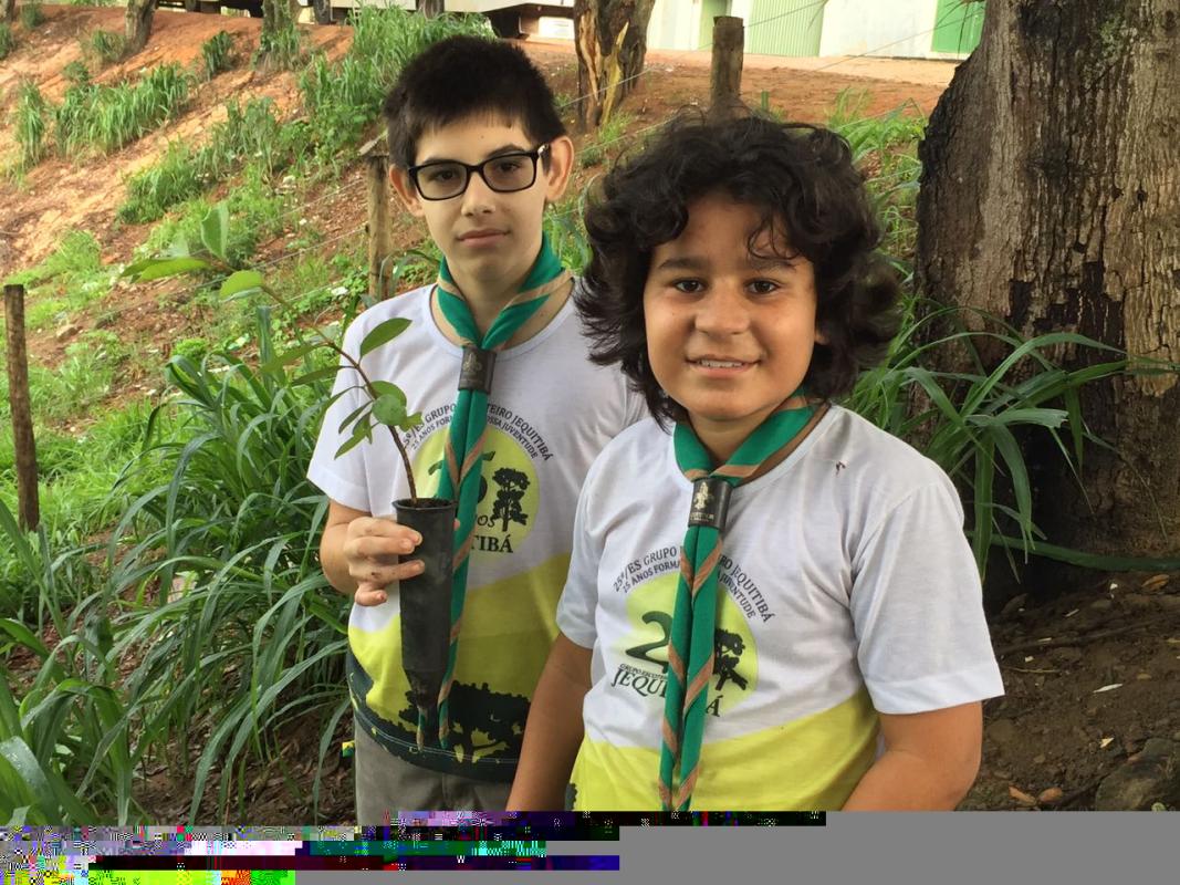 Projeto de Limpeza e Recuperação das Nascentes