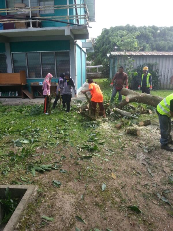 Bergotong-royong membersihkan ranting-ranting dan daun-daun