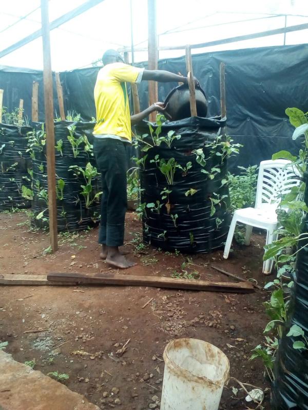 Food for life Project - Vegetable Farm