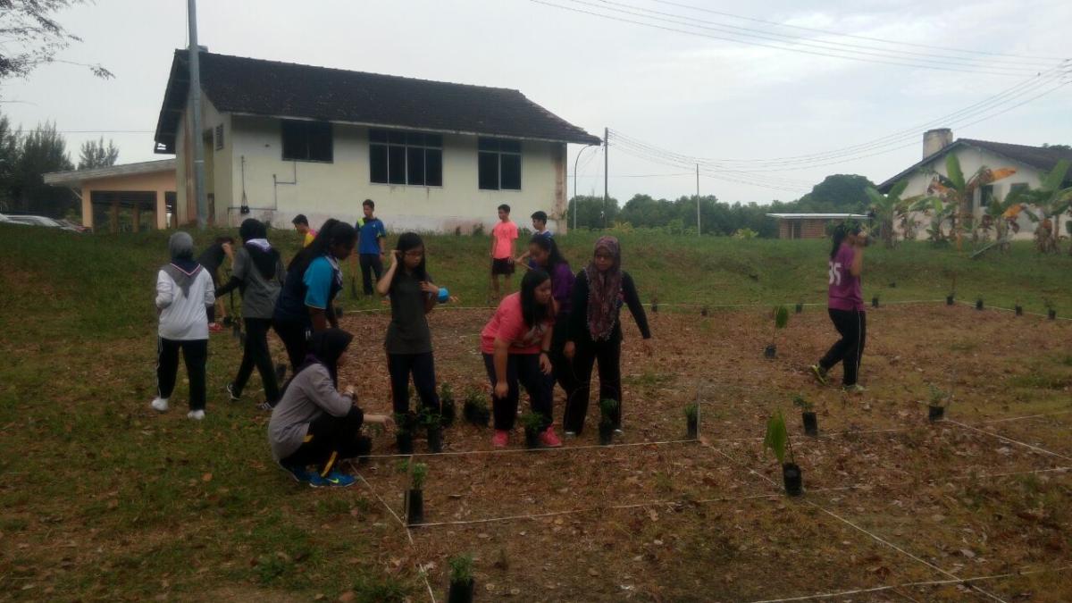 penanaman pokok