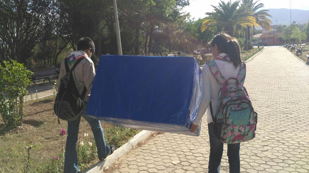 Elaboración de casas para perritos de la calle 