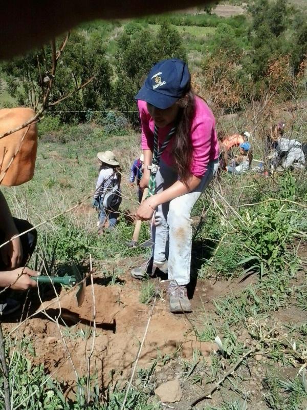 ¡A TODO ARBOL!: REFORESTACIÓN DE LAS LADERAS DE APOTE NORTE
