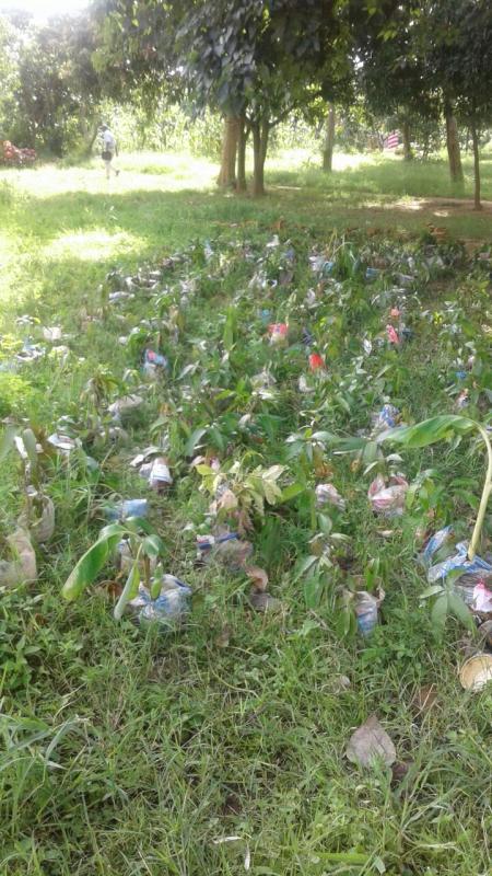 GREEN SCOUT,GREEN ZIMBABWE