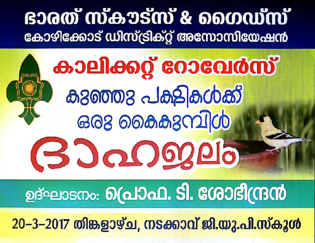 Water for Birds in Summer