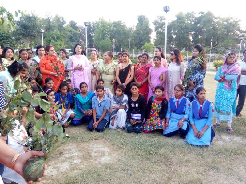 Tree plantation