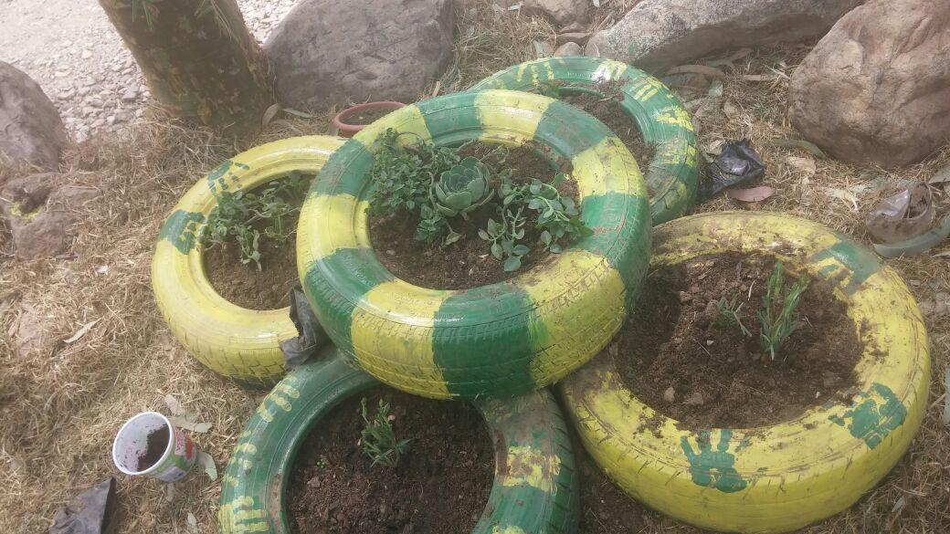 Jardineras Ecologicas