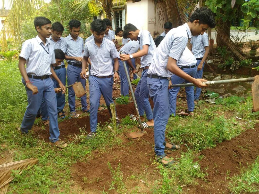 Environment Activity