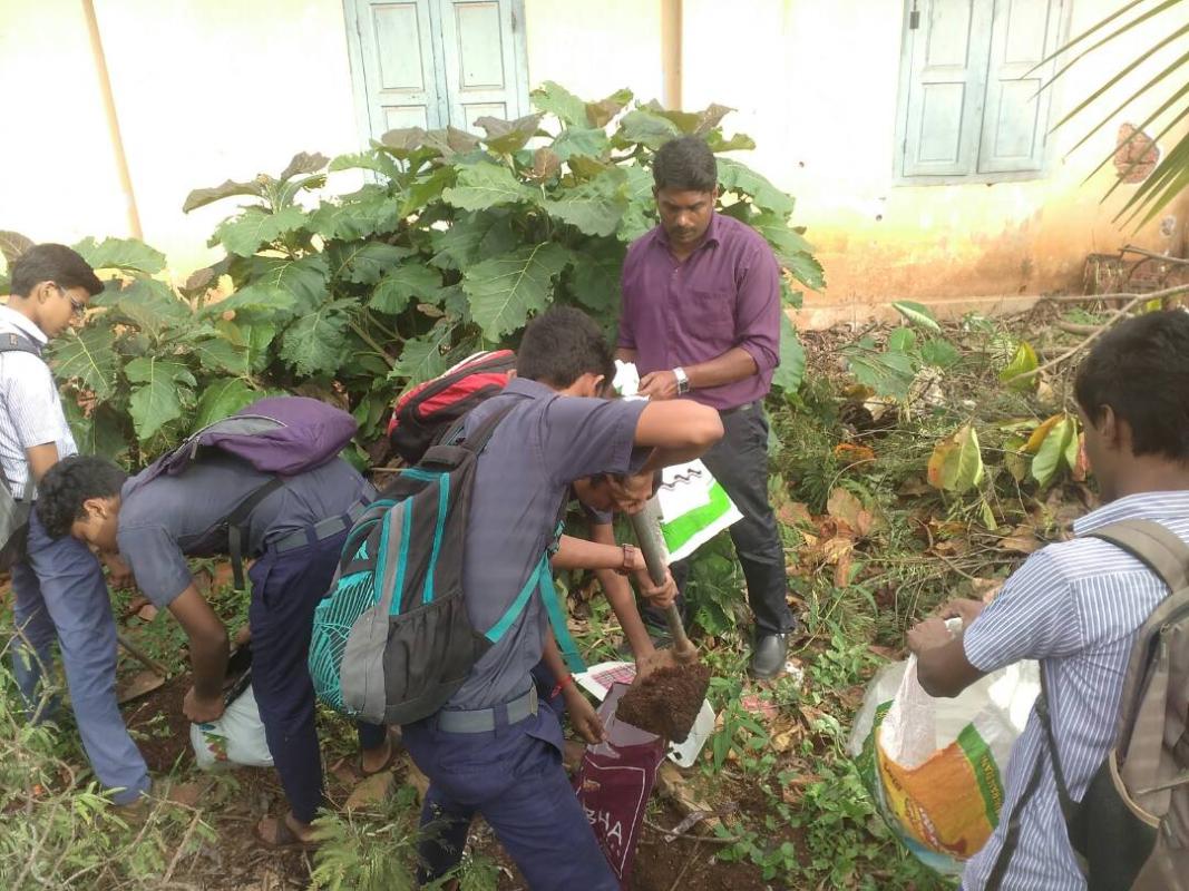 Kitchen Garden Project @ school