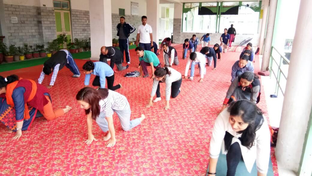 3rd World Yoga Day Celebration