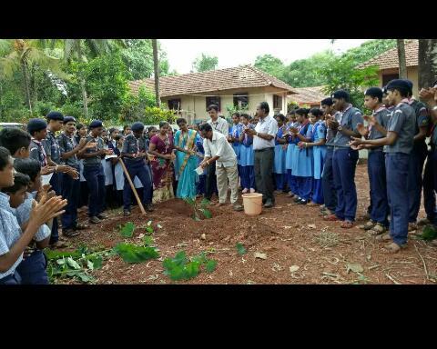 Ecologist and commonity devolpment prgrm