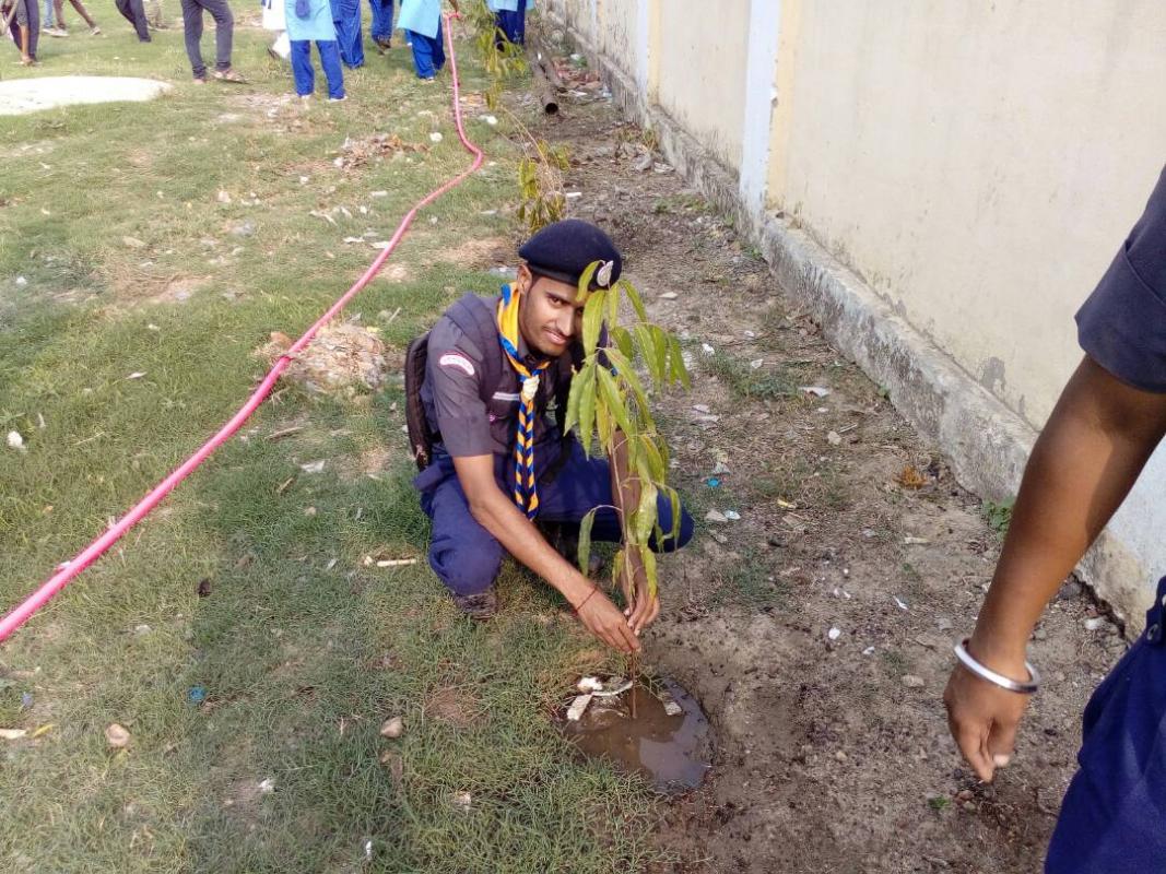sanitation program
