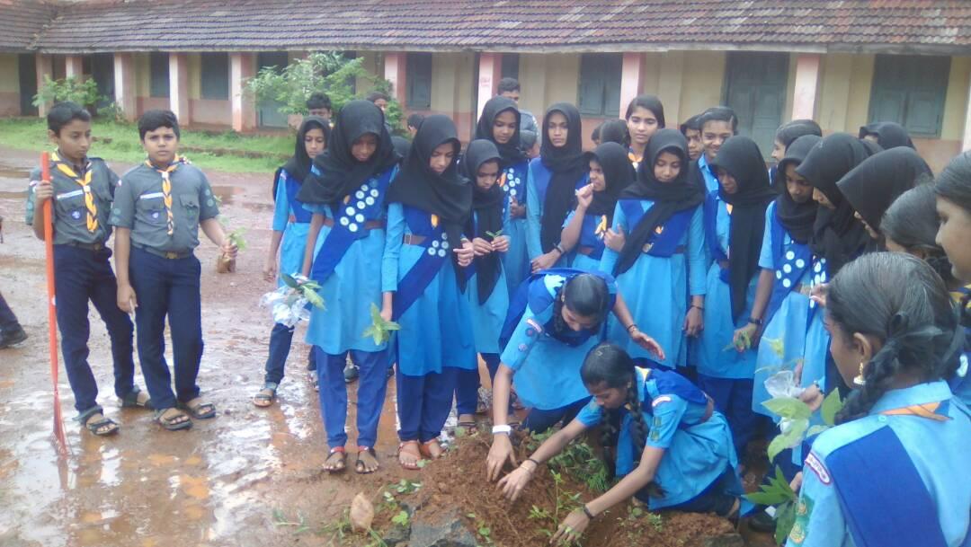 Environmental day celebrations
